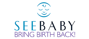 Footer Logo